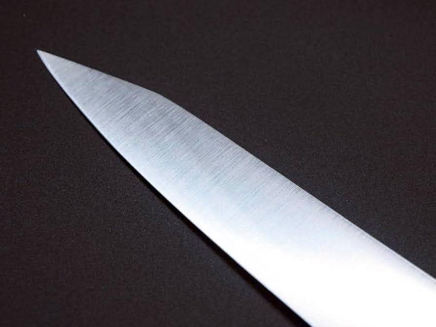 Amazon | プロ仕様 魄刃 Hakuba 剣型筋引き包丁 黒檀白水牛八角柄9寸