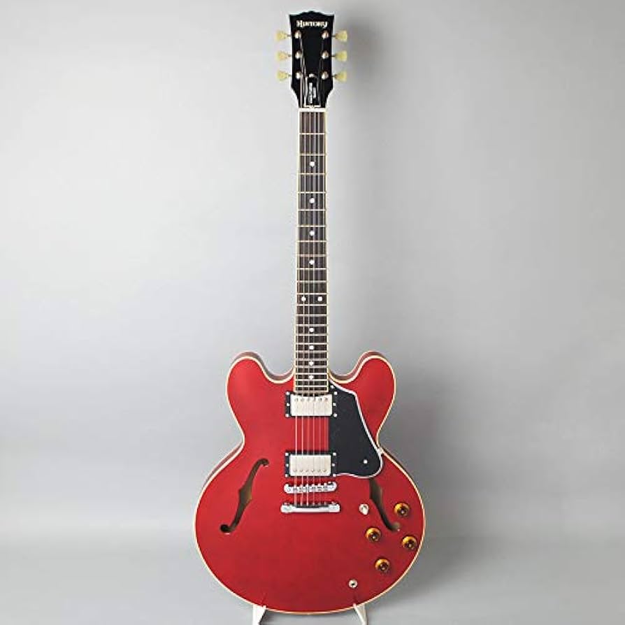 Amazon | HISTORY SH-SA/HCH セミアコギター ヒストリー | エレキ