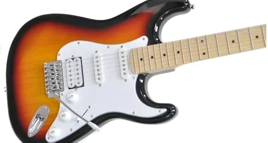 Amazon | PLAYTECH (プレイテック) エレキギター ストラトキャスター