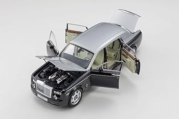 41ziDm1oMwL._AC_UF350,