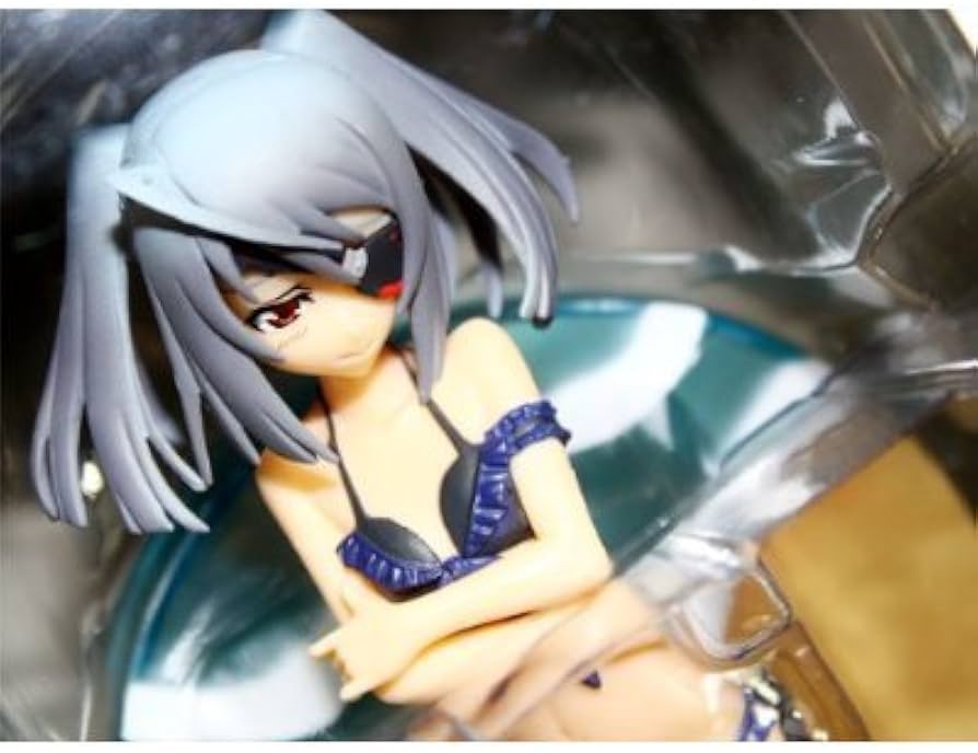 Amazon | IS〈インフィニット・ストラトス〉 EXサマービーチフィギュア