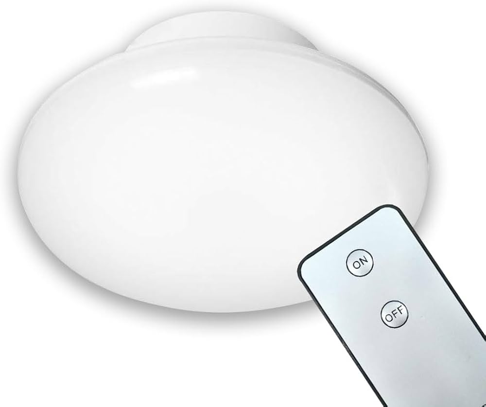 Amazon.co.jp: LEDシーリングライト 小型 リモコン付き 2-4畳 20W形