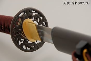 41BJ5oNIgCL._AC_UF350,