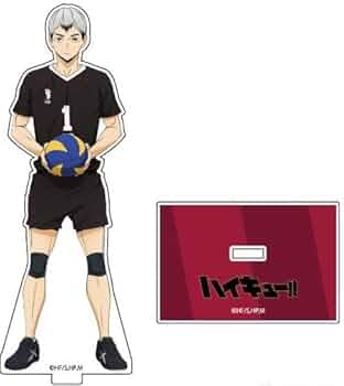 41BjAPKIjUL._AC_UF350,