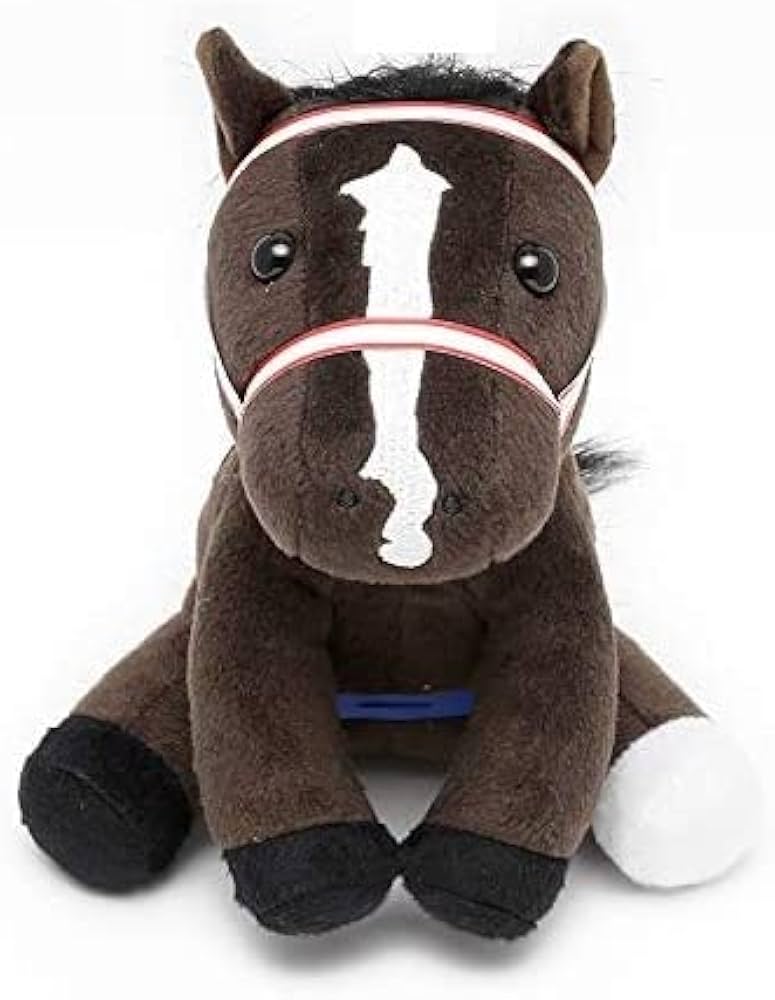 Amazon.co.jp: アイドルホース Selection 第64回 有馬記念 リス