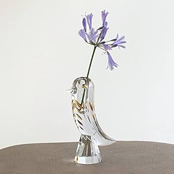 41D9mz-HBoS._AC_UF350,