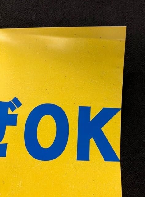 Amazon.co.jp: THE HIGH-LOWS ザ ハイロウズ B2 告知 ポスター いかす