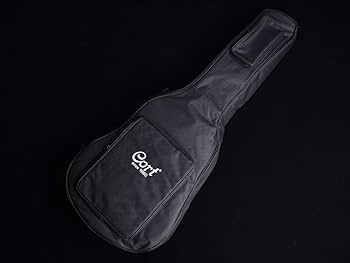 Amazon | Cort CAG-1F NAT アコースティックギター初心者12点セット