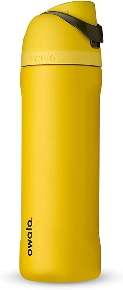 Amazon.com: Owala Harry Potter FreeSip Insulated Stainless Steel