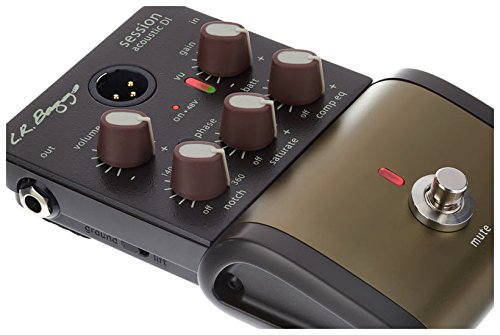 Amazon | L.R.Baggs SESSION ACOUSTIC D.I [並行輸入品