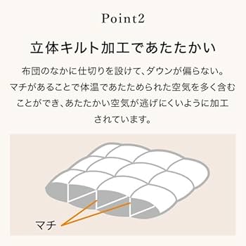 Amazon｜ニトリ(NITORI) グレーダックダウン50%使用 羽毛掛け布団 S-1