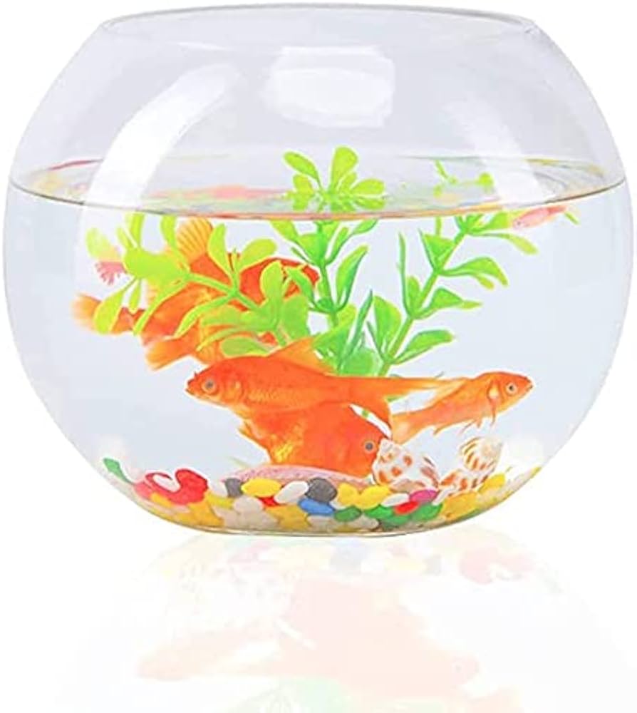 Amazon | 金魚鉢 丸型 ガラス 花瓶 水培 容器 ガラス フラワーベース