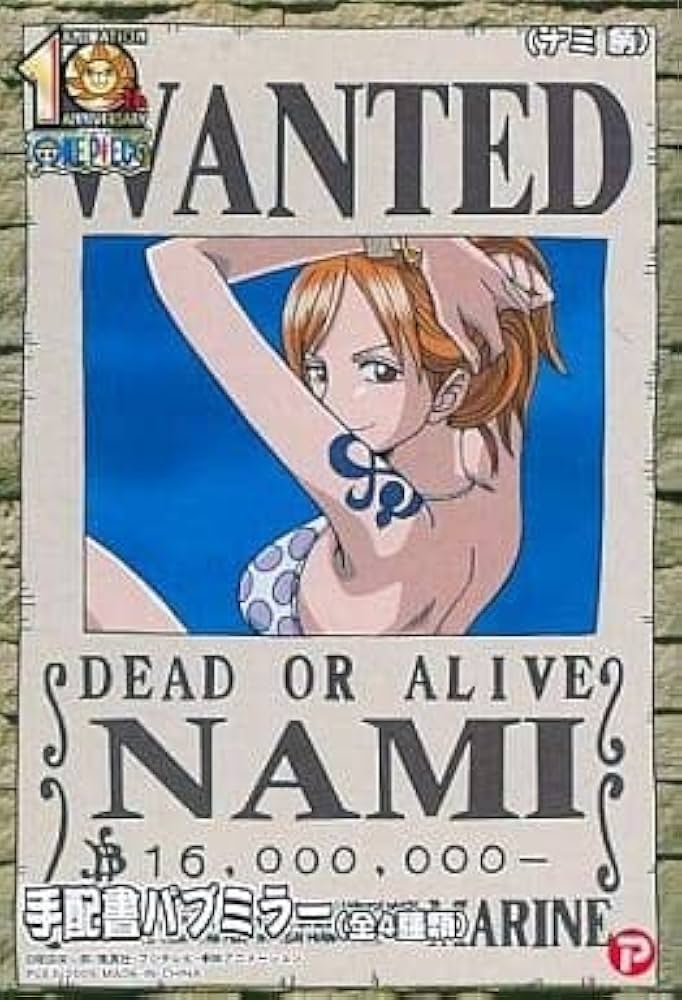 Amazon.co.jp: ワンピース 手配書パブミラー ナミ : ビューティー