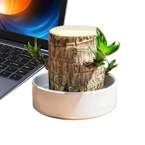 サイド テーブル 観葉植物」の人気商品一覧 | 安い商品を通販サイト