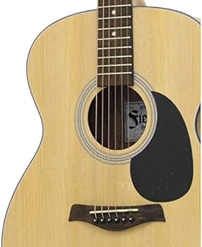 Amazon | 【アコギ定番8点セット】Fiesta by Aria FST-F65/N フォーク