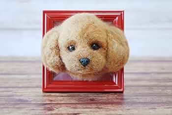 41KpZe3gE1S._AC_UF350,