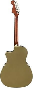 Amazon | Fender エレアコ Newporter Player, Walnut Fingerboard