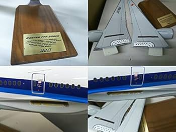 Amazon.co.jp: パックミン PACMIN ANA 1/100スケール 全日空