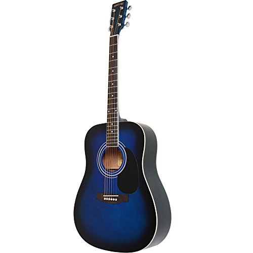 Amazon | HONEY BEE ハニービー アコースティックギター ウエスタン