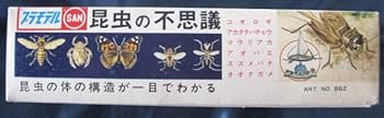 Amazon | マルサン 昆虫の不思議. 透視生体模型. プラモデル | 生物