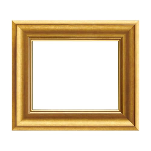 f3 額縁」の人気商品一覧 | 安い商品を通販サイトから探す - 価格.com