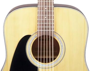 Amazon.co.jp: タカミネ Dreadnought アコースティックギター 左利き用