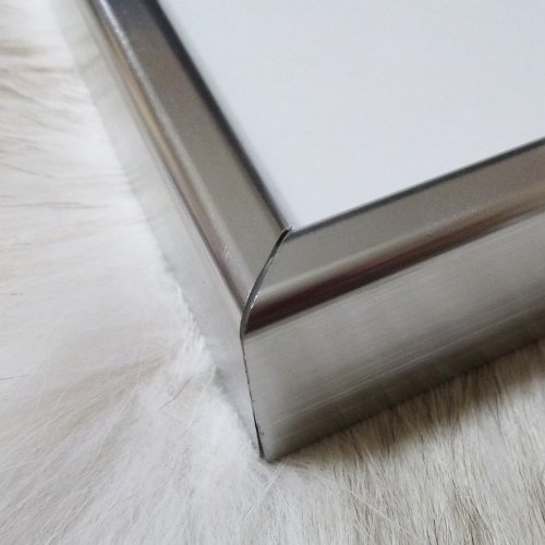 Amazon.co.jp: ポスター フェリックス ナダール サラ ベルナール 額装