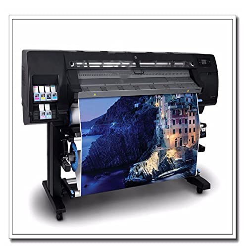 Amazon.co.jp: アンリ・マティスのナスタチウムのダンスウォールアート