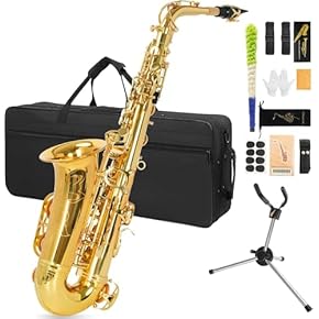 Amazon.co.jp: アルト - サックス: 楽器・音響機器