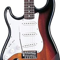 Amazon | SELDER セルダー エレキギター ストラトキャスタータイプ