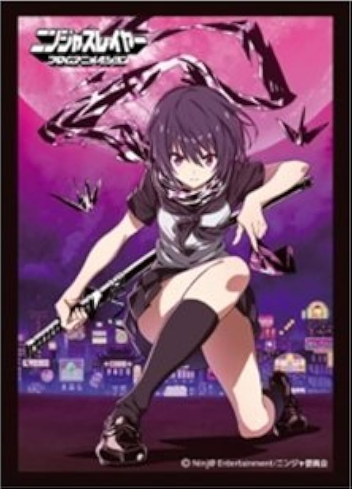 Amazon.co.jp: Fスリーブコレクションvol.2 ニンジャスレイヤー フロム