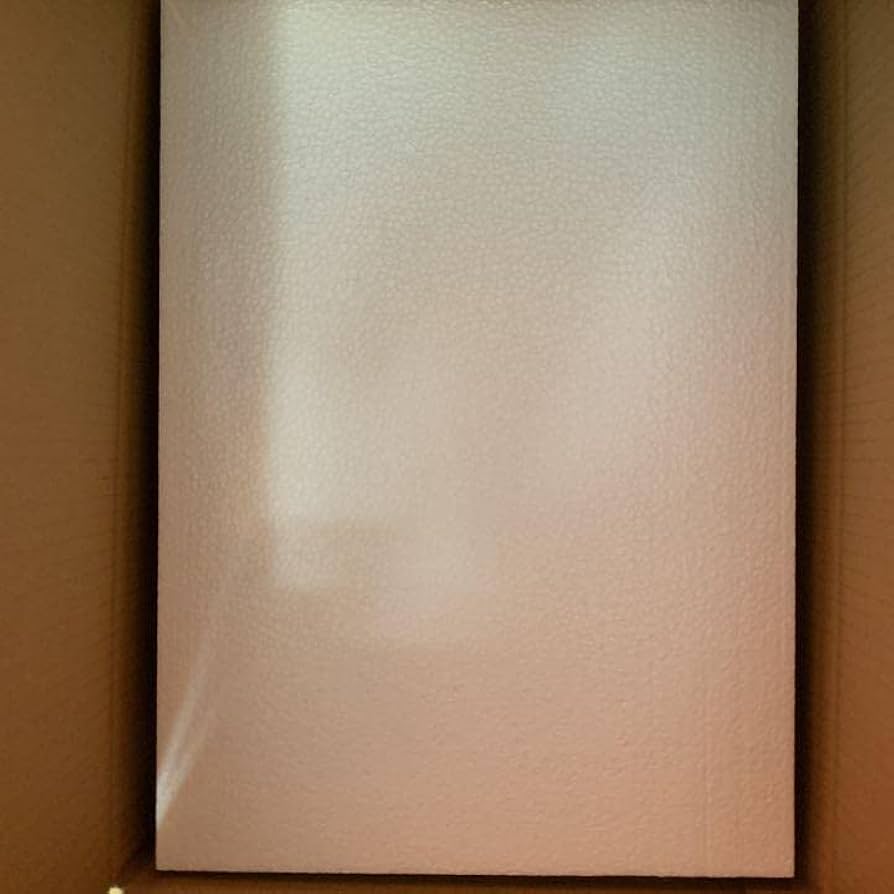 Amazon.co.jp: 豊田ルナ 直筆 サイン入り パネル blt graph 限定 写真