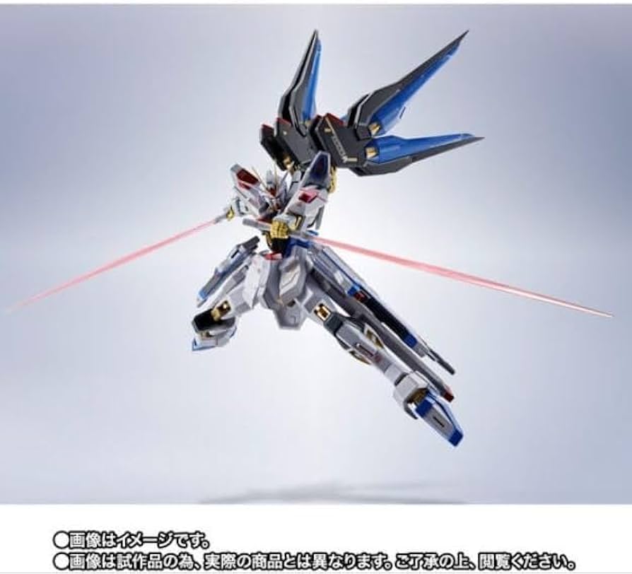 Amazon.co.jp: METAL ROBOT魂 ＜SIDE MS＞ ストライクフリーダム