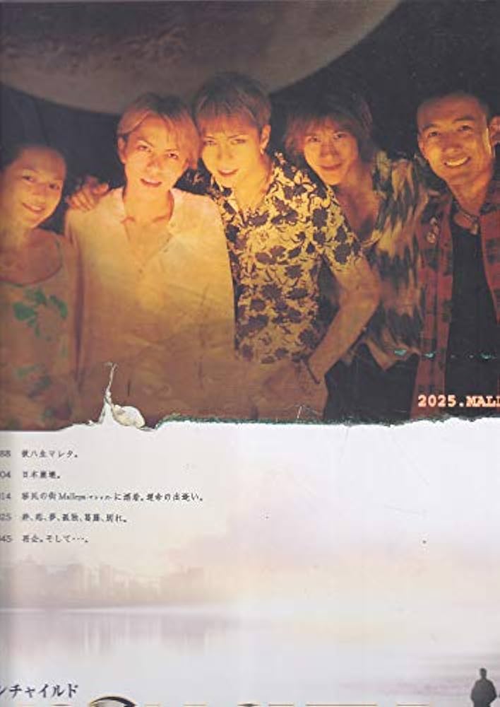 Amazon.co.jp: 映画パンフレット MOON CHILD(2003作品) 編集