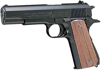 41UJAuRCCAL._AC_UF350,