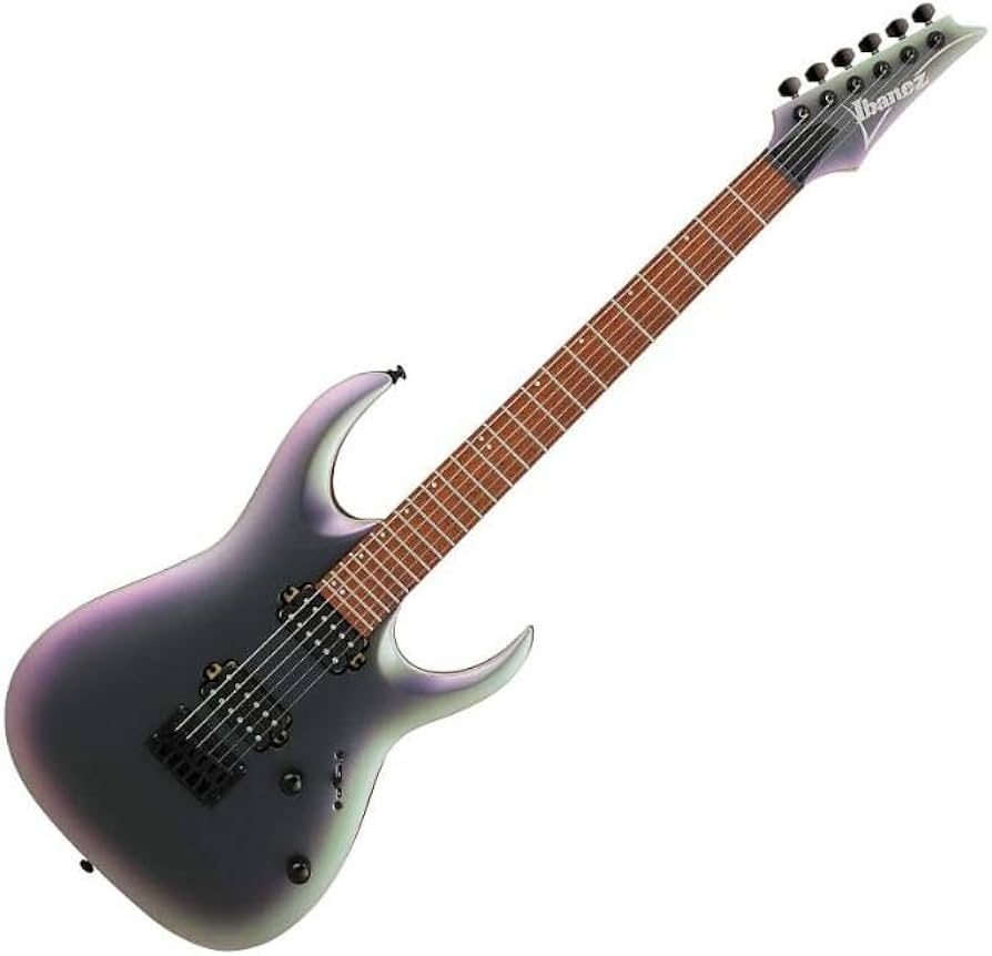 Amazon.com: Ibanez Standard RGA42EX Electric Guitar - Black Aurora