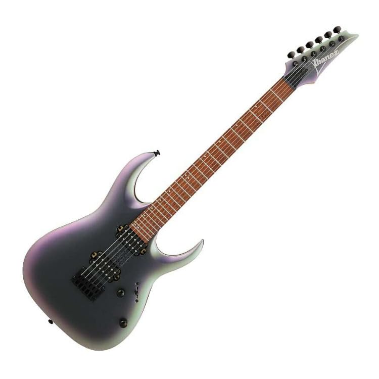 Amazon.com: Ibanez Standard RGA42EX Electric Guitar - Black Aurora