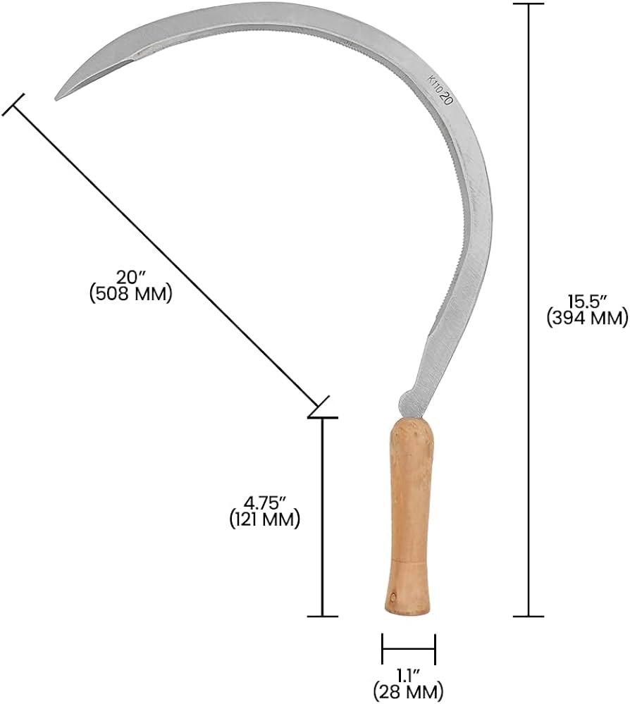 41Vq0sQjapL._AC_UF894,