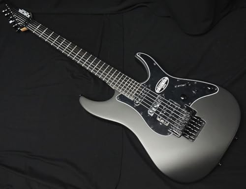 シェクター SCHECTER フロイドローズ」の人気商品一覧 | 安い商品を