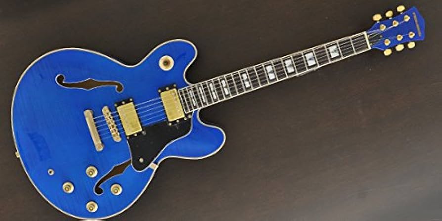 Amazon | 【国内正規品】 PLAYTECH プレイテック セミアコースティック