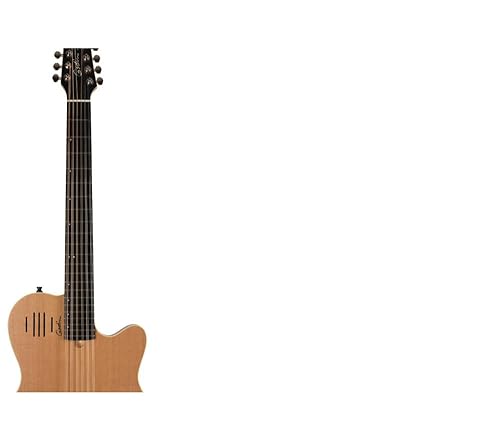 Amazon.com: Godin A12 Natural SG : Musical Instruments