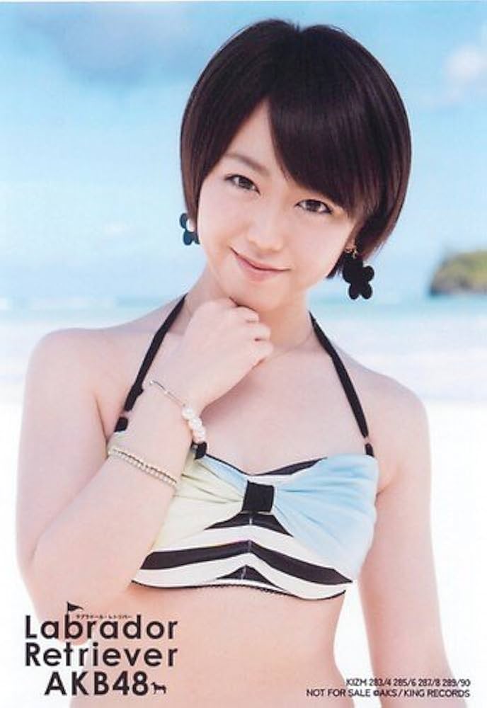 Amazon.co.jp: AKB48 公式生写真 ラブラドール・レトリバー 通常盤