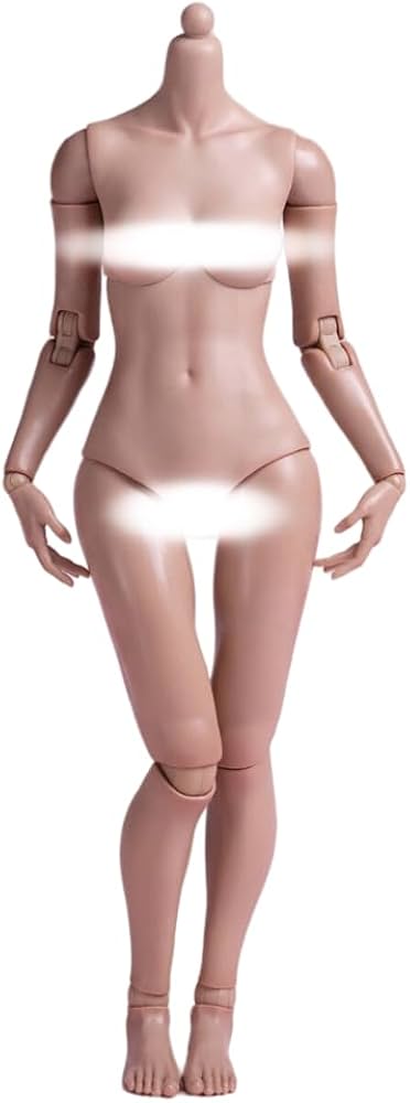 Amazon | HiPlay worldbox 1/6 女性 素体 ボディ 超可動 フィギュア