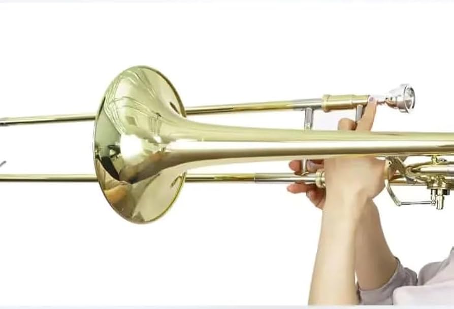 Amazon | PLAYTECH (プレイテック) テナーバストロンボーン PTSL301