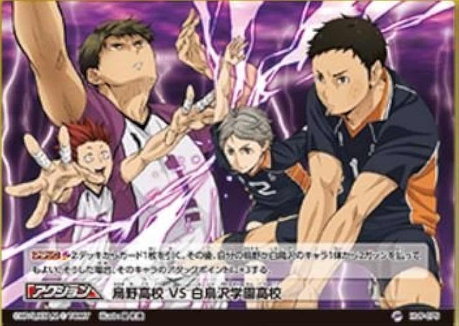 Amazon.co.jp: ハイキュー! ! バボカ! ! 拡張パック第11弾 コンセプト