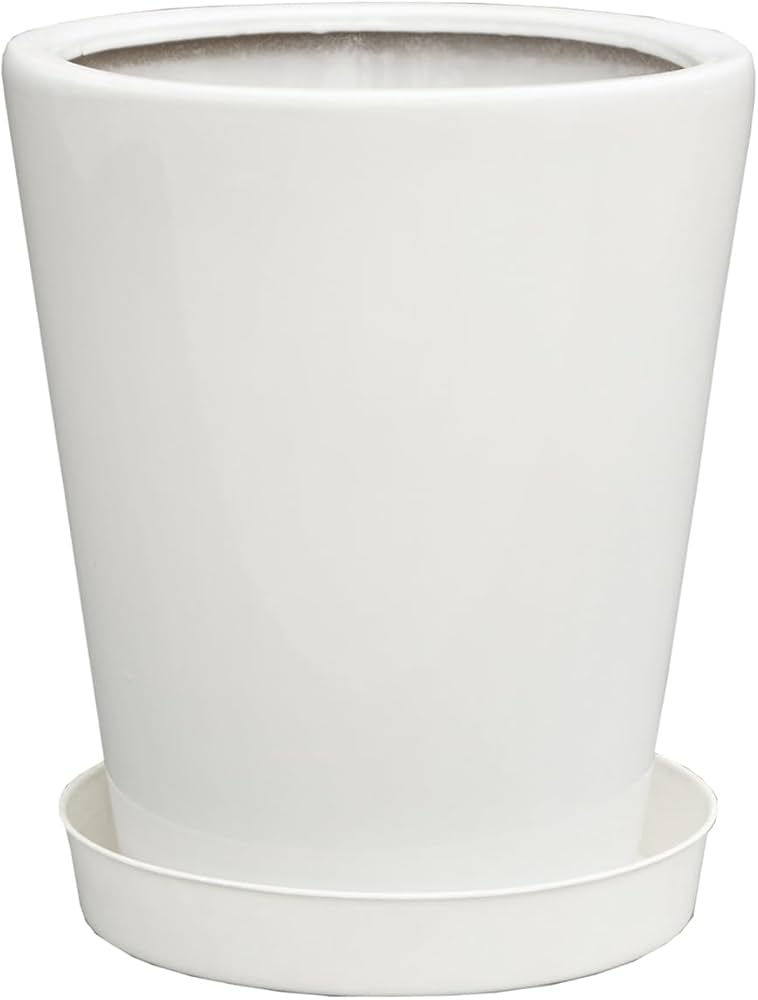 Amazon.co.jp: 松村農園 観葉植物の鉢 8号 白 丸陶器鉢 白 陶器鉢