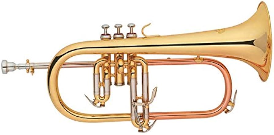 Amazon | 【国内正規品】 PLAYTECH プレイテック フリューゲルホルン