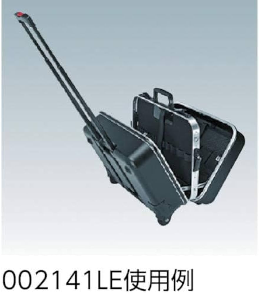 41gAqzS2VSL._AC_UF1000,