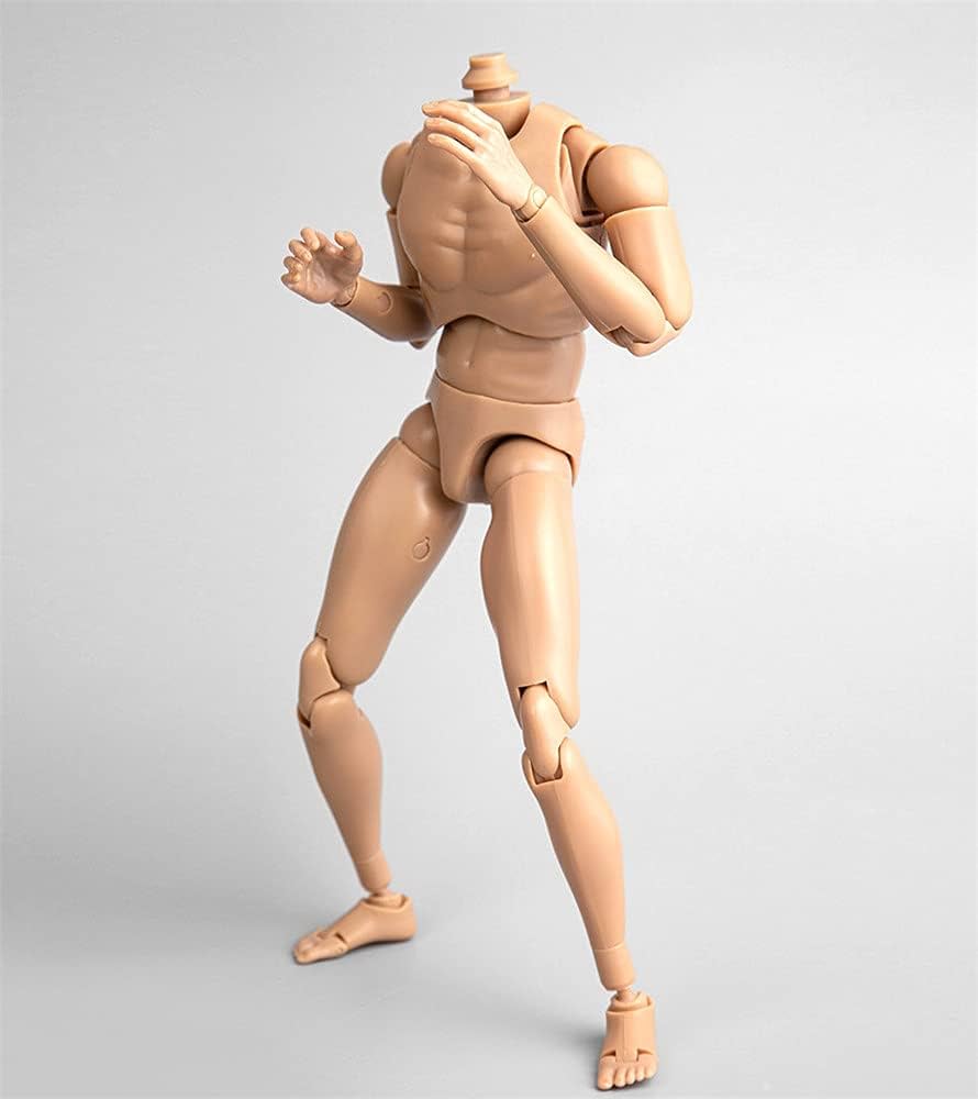 Amazon | HiPlay JIAOUDOLL 1/6 男性 フィギュア ボディ ドール 超可動