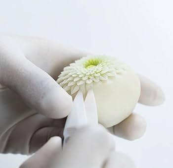 41hJkrtlxtL._AC_UF350,